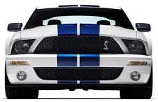 Mustang Pic